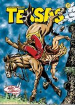 Teksas Sayı: 11 Gizemli Harita