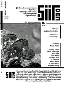 Şiirden İki Aylık Şiir Dergisi Sayı:18 Temmuz - Ağustos 2013