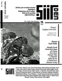 Şiirden İki Aylık Şiir Dergisi Sayı:18 Temmuz - Ağustos 2013