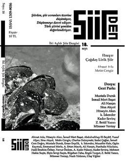 Şiirden İki Aylık Şiir Dergisi Sayı:18 Temmuz - Ağustos 2013