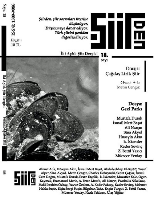 Şiirden İki Aylık Şiir Dergisi Sayı:18 Temmuz - Ağustos 2013