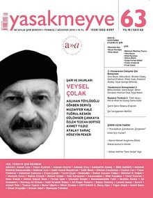 Yasakmeyve 63. Sayı Temmuz - Ağustos 2013