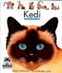 Kedi / İlk Kitaplarım Dizisi