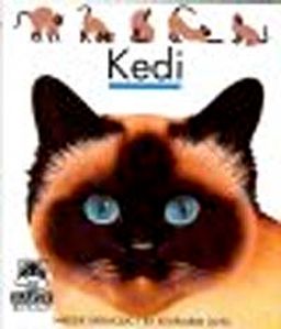 Kedi / İlk Kitaplarım Dizisi