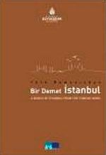 Türk Romanından Bir Demet İstanbul & A Bunch of İstanbul from the Turkish Novel