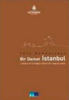 Türk Romanından Bir Demet İstanbul & A Bunch of İstanbul from the Turkish Novel