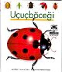 Uçuçböceği / İlk Kitaplarım Dizisi