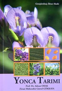 Yonca Tarımı