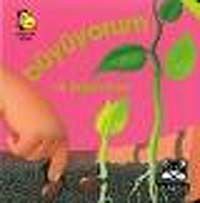 Büyüyorum ve Değişiyorum