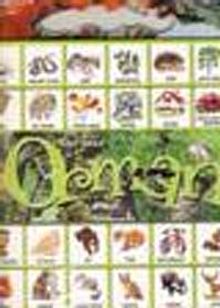 Orman : Oku Yap Boz Oyna