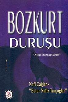 Bozkurt Duruşu