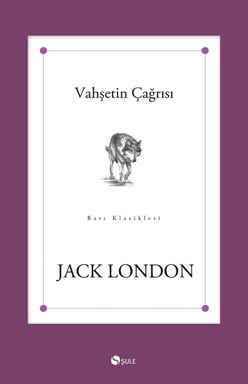 Vahşetin Çağrısı (Roman Boy)