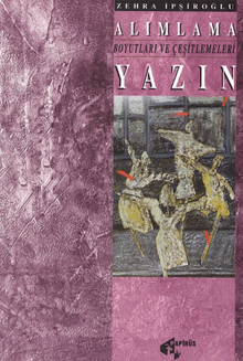 Alımlama Boyutları ve Çeşitlemeleri Yazın