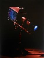 Mat Collishaw: Hayalet Görüntü - Mat Collishaw: Afterimage