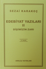 Edebiyat Yazıları 2 (Dişimizin Zarı )