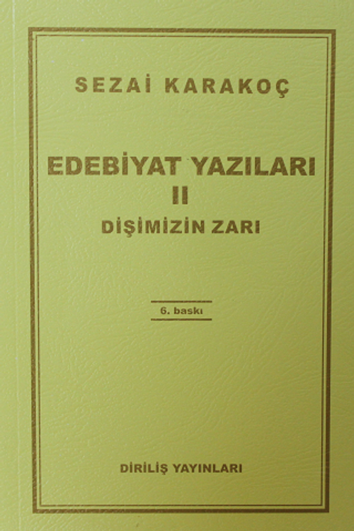 Edebiyat Yazıları 2 (Dişimizin Zarı )