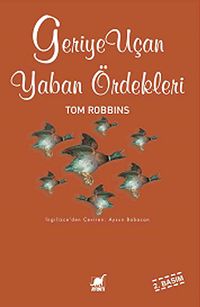 Geriye Uçan Yaban Ördekleri