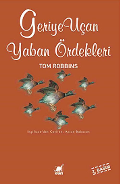 Geriye Uçan Yaban Ördekleri