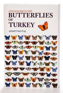 Türkiye'nin Kelebekleri & Doğa Rehberi