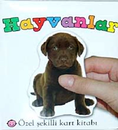 Hayvanlar & Özel Şekilli Kart Kitabı