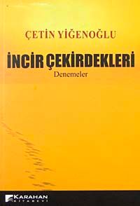 İncir Çekirdekleri-Denemeler