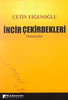İncir Çekirdekleri-Denemeler