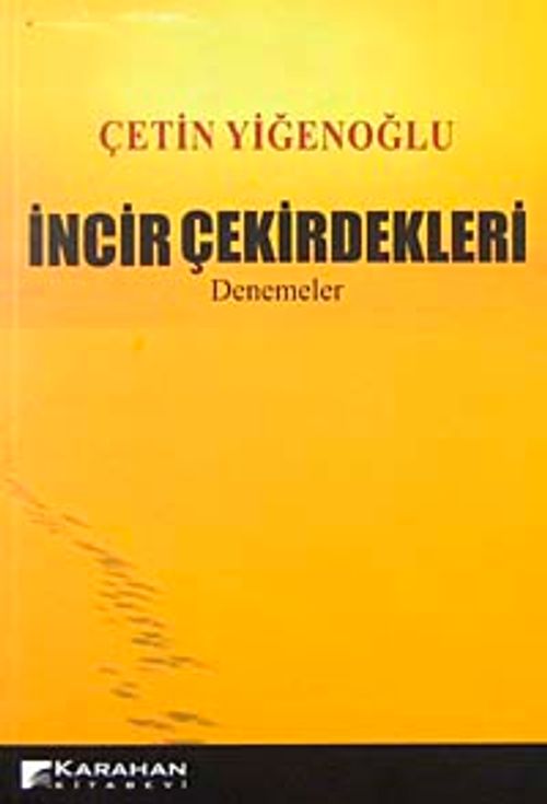 İncir Çekirdekleri-Denemeler