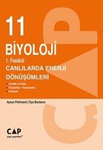 11. Sınıf 1. Fasikül Canlılarda Enerji Dönüşümleri
