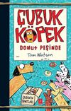 &Ccedil;ubuk K&ouml;pek Donut Peşinde