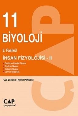 11. Sınıf 3. Fasikül İnsan Fizyolojisi 2