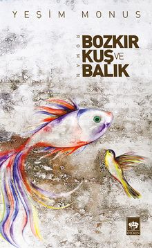 Bozkır, Kuş ve Balık