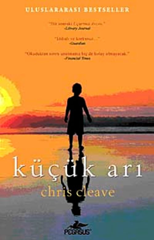 Küçük Arı