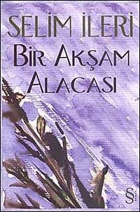 Bir Akşam Alacası