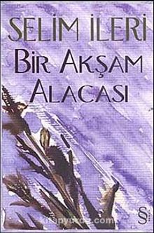 Bir Akşam Alacası - Selim İleri