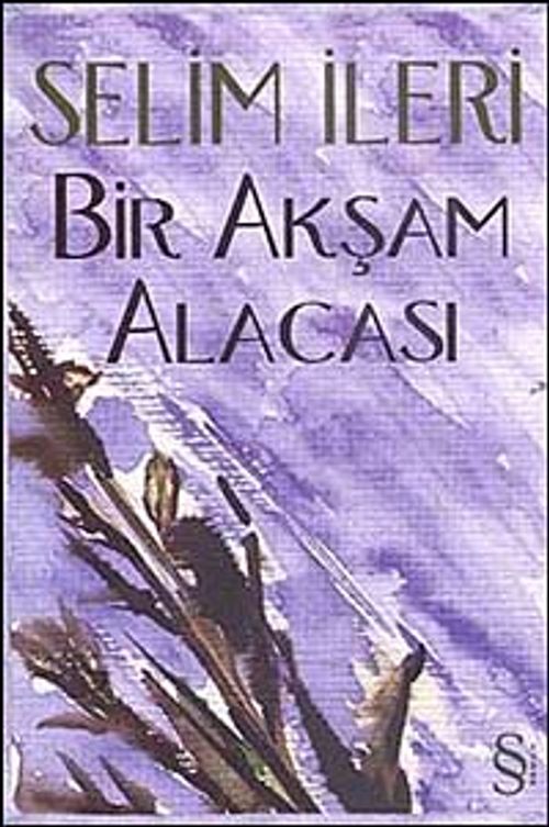 Bir Akşam Alacası
