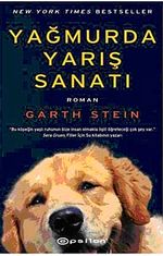 Yağmurda Yarış Sanatı