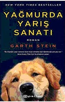 Yağmurda Yarış Sanatı