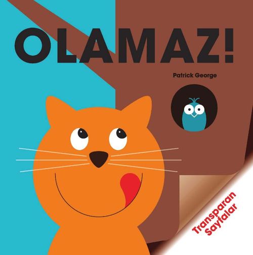 Olamaz!
