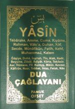Yasin Dua Çağlayanı