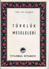 T&uuml;rkl&uuml;k Meseleleri