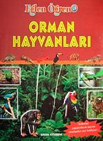 Orman Hayvanları / Eğlen Öğren