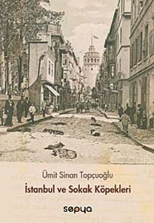 İstanbul ve Sokak Köpekleri