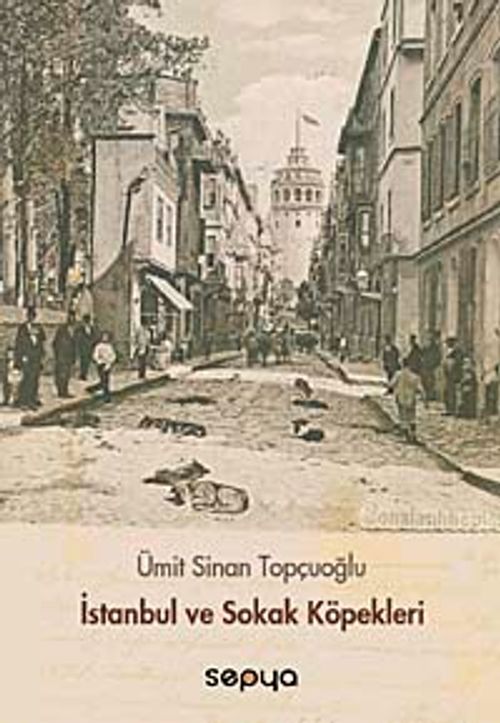 İstanbul ve Sokak Köpekleri