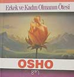 Erkek ve Kadın Olmanın Ötesi cep boy