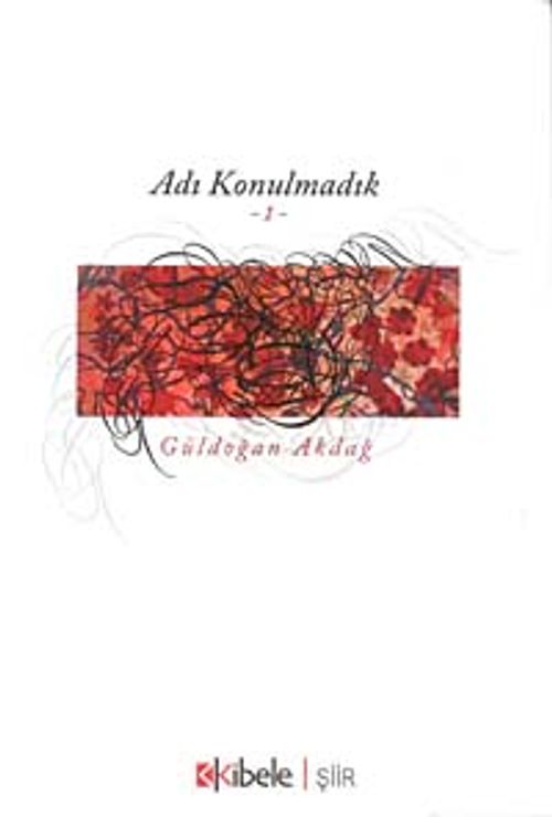 Adı Konulmadık-1