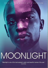 Moonlight - Ay Işığı (Dvd)
