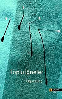 Toplu İğneler