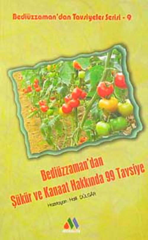 Bediüzzaman'dan Şükür ve Kanaat Hakkında 99 Tavsiye / Bediüzzaman'dan Tavsiyeler Serisi-9