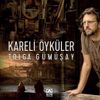 Kareli &Ouml;yk&uuml;ler