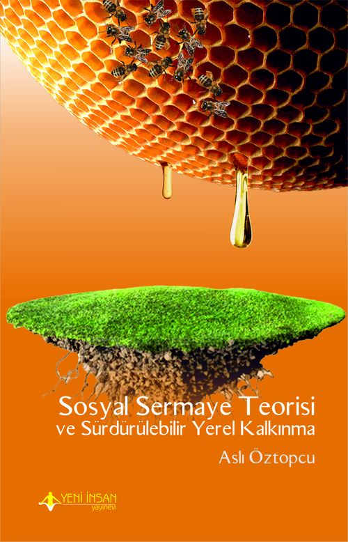 Sosyal Sermaye Teorisi ve Sürdürülebilir Yerel Kalkınma